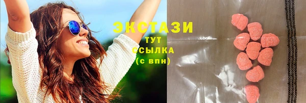 ECSTASY Вяземский