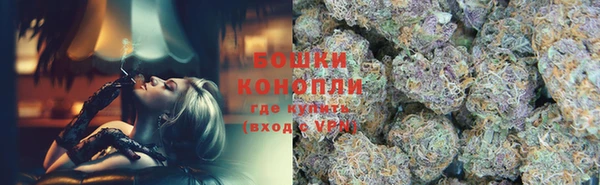 гидра Волоколамск