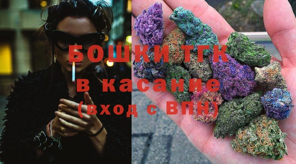 ECSTASY Вяземский